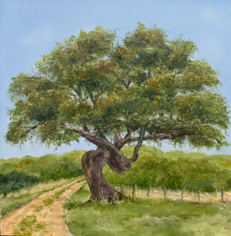 Grandmother Oak by artist Pat Flathouse